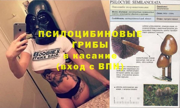 индика Волоколамск