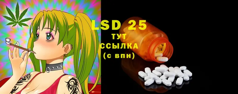 blacksprut ССЫЛКА  Новодвинск  LSD-25 экстази ecstasy 